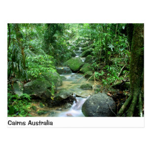 Cairns Forest Creek Queensland Australia Post Card