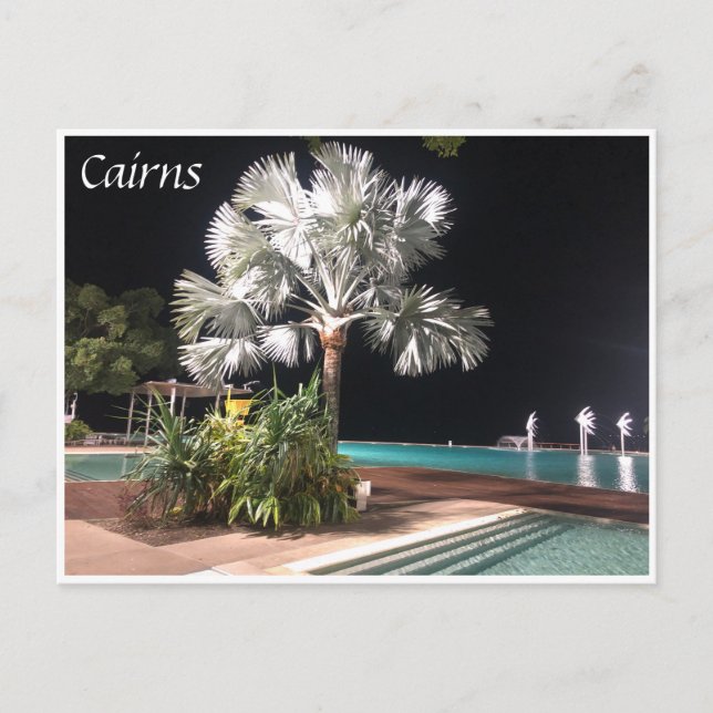 cairns tree lagoon postcard (Front)