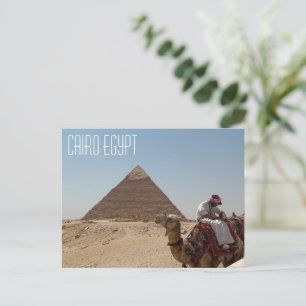 Cairo Egypt Camel In Front Of Pyramid Postcard