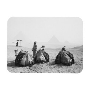 Cairo Egypt, Camel Jockeys Giza Pyramids (NR) Magnet
