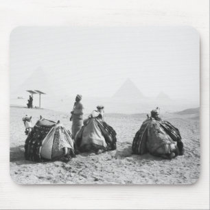 Cairo Egypt, Camel Jockeys Giza Pyramids (NR) Mouse Pad