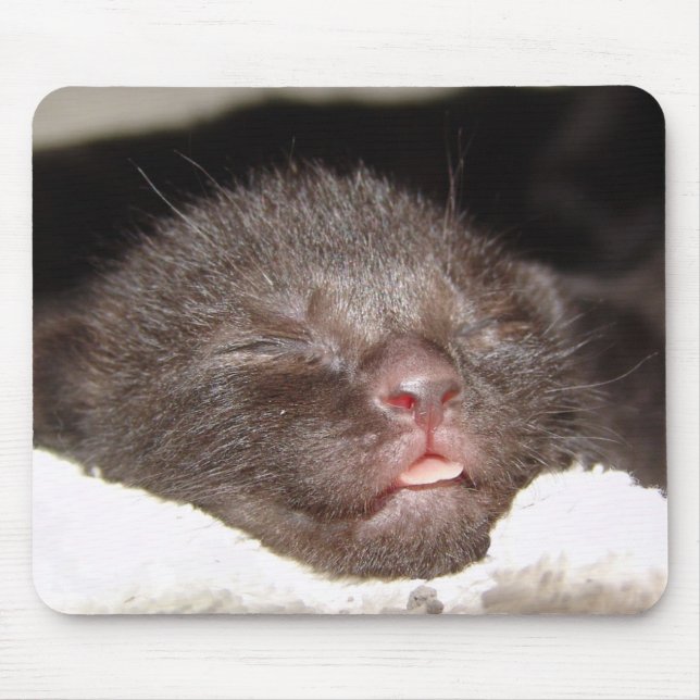 Cairo Sleeping Mousepad (Front)