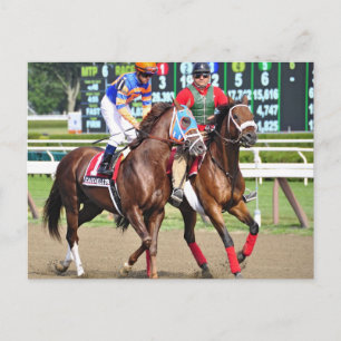 Caixa Eletronica- Saratoga Race Course Postcard