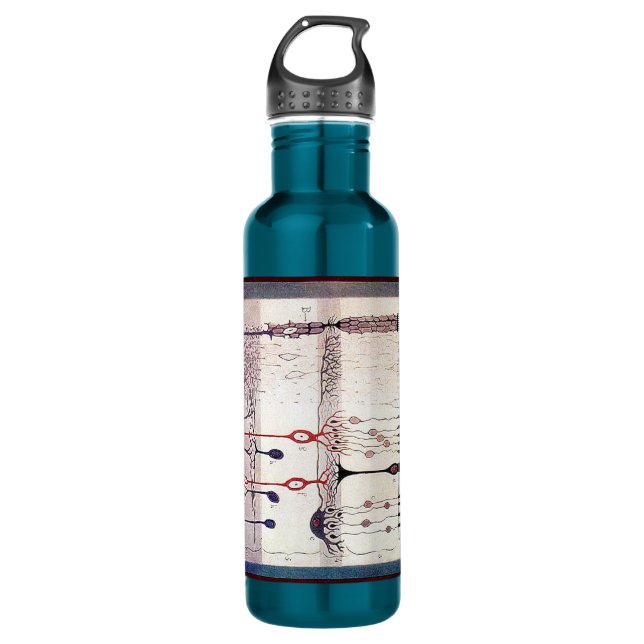 Cajal 710 Ml Water Bottle (Front)