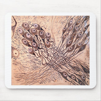 Cajal's Neurons 1 Mouse Pad