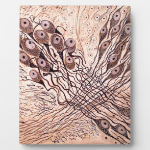 Cajal's Neurons 1 Plaque