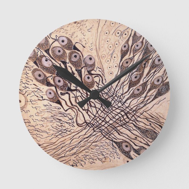 Cajal's Neurons 1 Round Clock (Front)