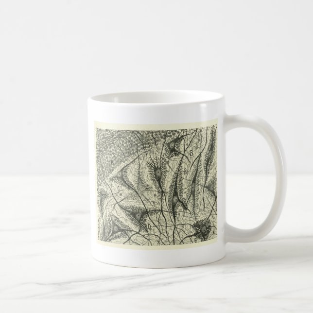 Cajal's Neurons 4 Coffee Mug (Right)