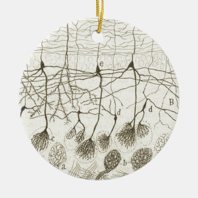 Cajal's Neurons 8 Ceramic Tree Decoration (Front)
