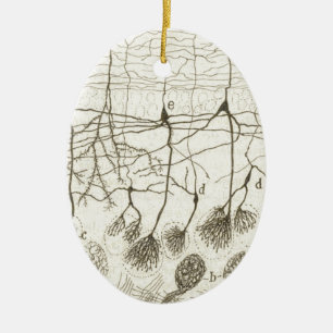 Cajal's Neurons 8 Ceramic Tree Decoration