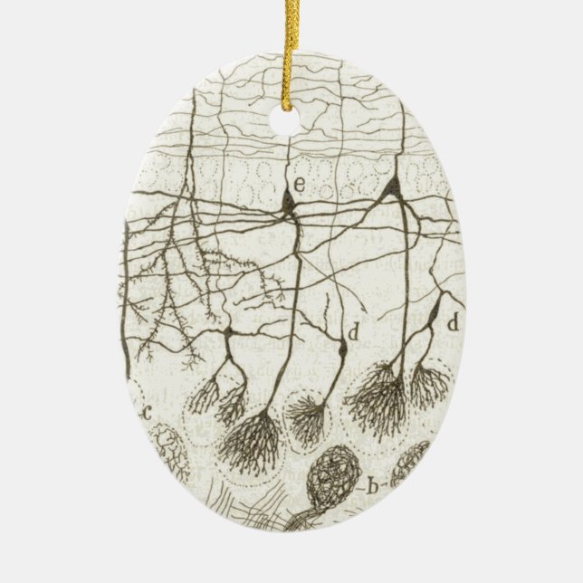 Cajal's Neurons 8 Ceramic Tree Decoration (Front)