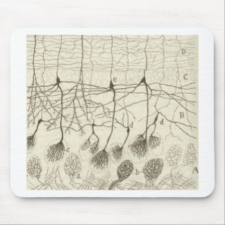 Cajal's Neurons 8 Mouse Pad
