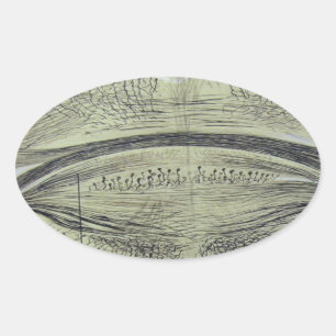 Cajal's spinal neurons - 5 oval sticker