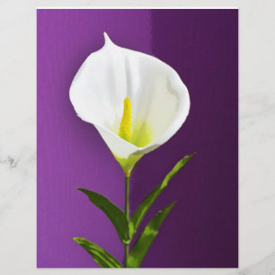 Cala Lily Flower Flyer