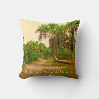 Caladesi Island Dunedin Fl Pillow