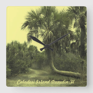 Caladesi Island Dunedin Fl Wall Clock