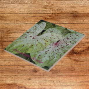 Caladium Bicolor Leaves Floral Ceramic Tile