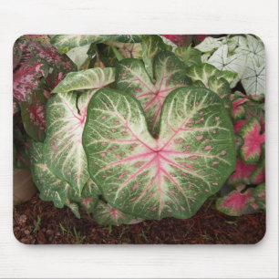 Caladium Galaxy Mouse Pad