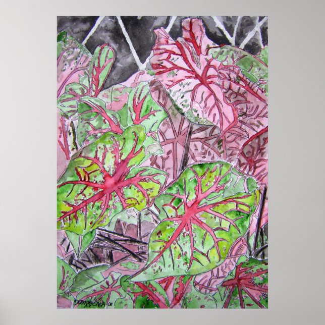 caladiums_plant_painting poster (Front)