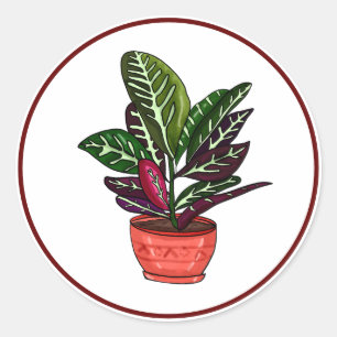 Calathea Hand Drawn Houseplant Art Classic Round Sticker