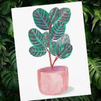 Calathea Prayer Plant Watercolor