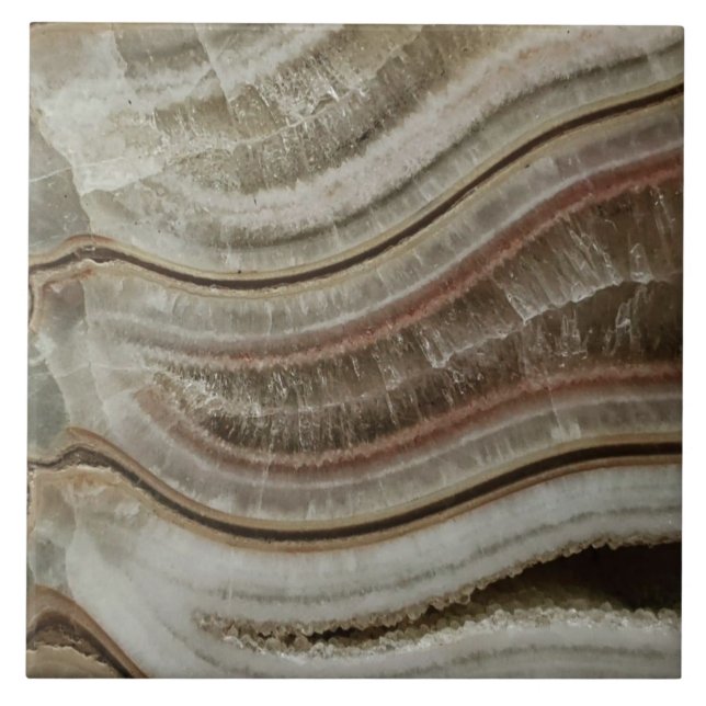 Calcite ammonite ceramic tile (Front)