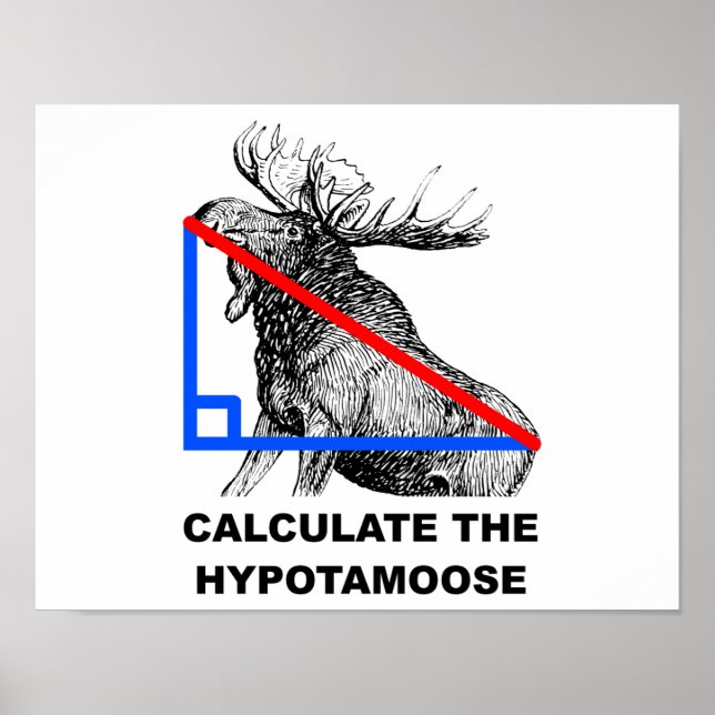 Calculate the Hypotamoose Funny Poster (Front)