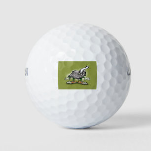 Calculator Dude Golf Balls