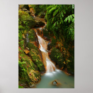 Caldeira Velha, Azores Poster