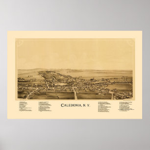Caledonia, NY Panoramic Map - 1892 Poster