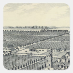 Caledonia Vineyard County, Fresno Square Sticker
