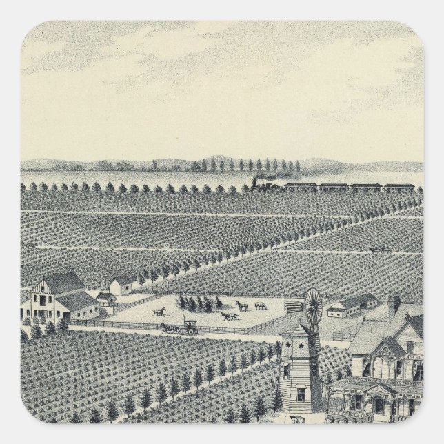 Caledonia Vineyard County, Fresno Square Sticker (Front)