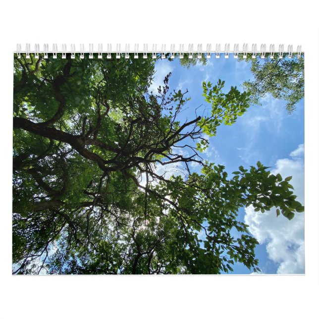 Calendar (Cover)