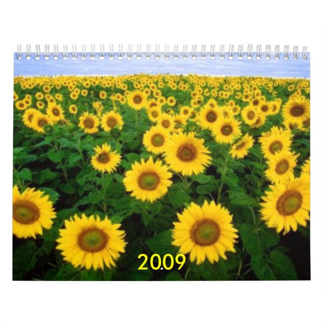 Calendar, 2009 calendar (Cover)