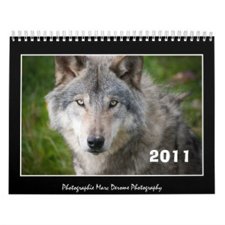 Calendar, 2011 wolf calendar
