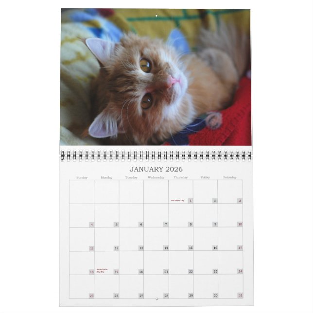 Calendar 2012 Cat (Jan 2026)