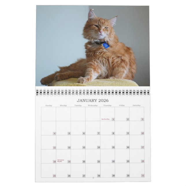 Calendar 2012 Cat (Jan 2026)
