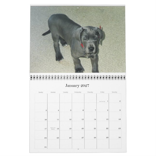 Calendar 2012 van SundayStyle Edition (Jan 2027)