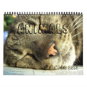 Calendar 2013 - Animals