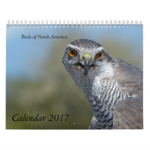Calendar 2017 - Birds of North America