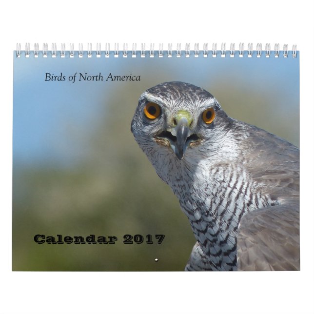 Calendar 2017 - Birds of North America (Cover)