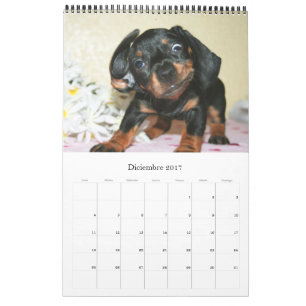 Calendar 2017 Puppy Dachshunds