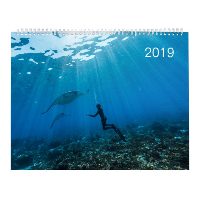 Calendar 2019 - Under the Ocean's Surface (Cover)