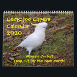Calendar 2021 - Cockatoo Capers<br><div class="desc">Some fantasy pictures created from my photography.Find the Cocky in each one.</div>
