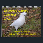 Calendar 2021 - Cockatoo Capers<br><div class="desc">Some fantasy pictures created from my photography.Find the Cocky in each one.</div>