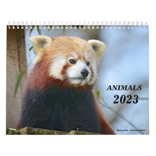 Calendar 2023 animals (Cover)