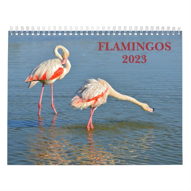 Calendar 2023 Flamingos (Cover)