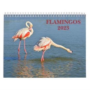 Calendar 2023 Flamingos