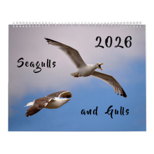 Calendar 2023 Gulls and Seagulls