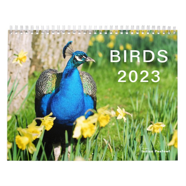 Calendar 2023 of various birds (Cover)